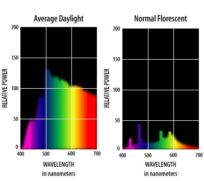 Compared to sunlight, fluorescent light doesn't hold a candle (sorry, couldn't resist). Courtesy U of SC School of Medicine