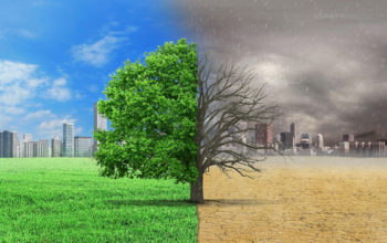 The concept of climate has changed. Half alive and half dead tree standing at the crossroads of climate change on city background. Save the environment.